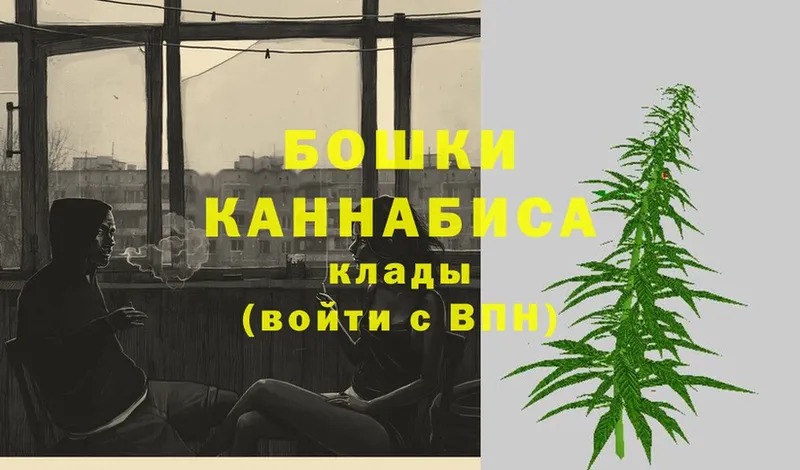 Каннабис SATIVA & INDICA  Вязьма 